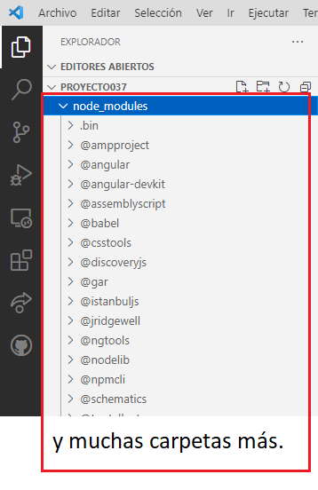 Angular carpeta node_modules