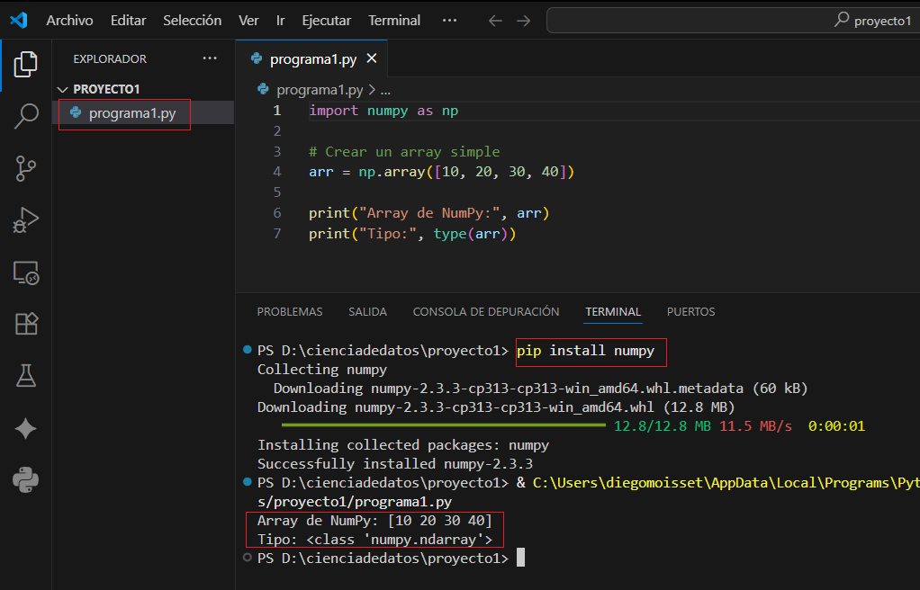 Ejemplo de salida en consola para un array de NumPy