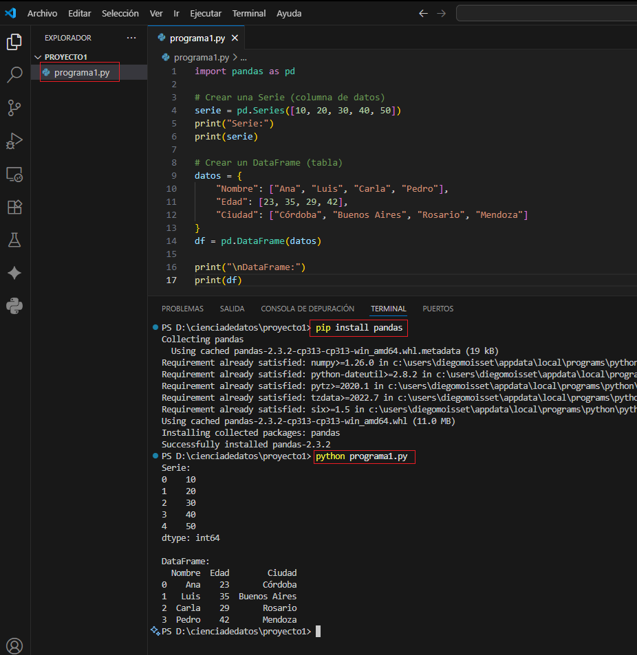Salida esperada en consola de Series y DataFrame en Pandas