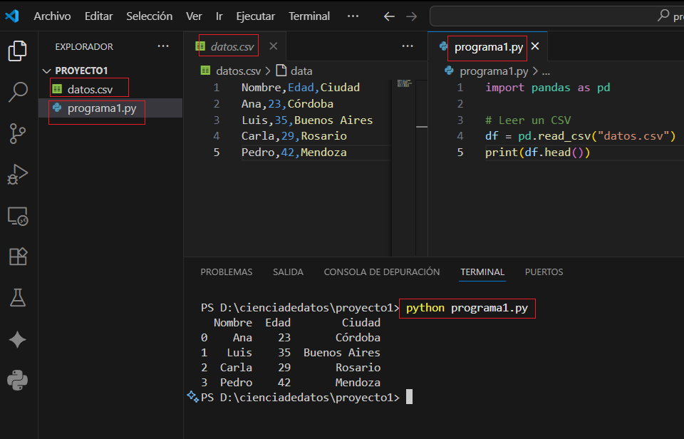 Tabla resultante al leer datos con Pandas