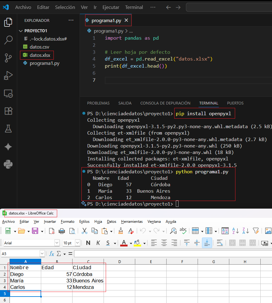 Vista previa de datos importados desde Excel con Pandas