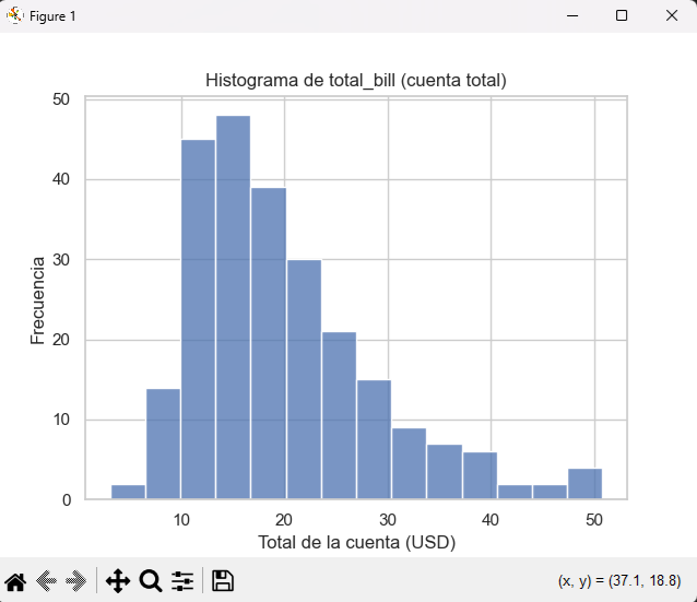 Opciones de histplot en Seaborn