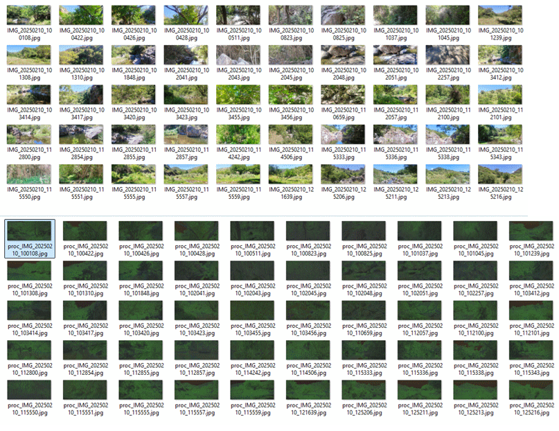 Ejemplo del filtro de efecto neón aplicado a una imagen