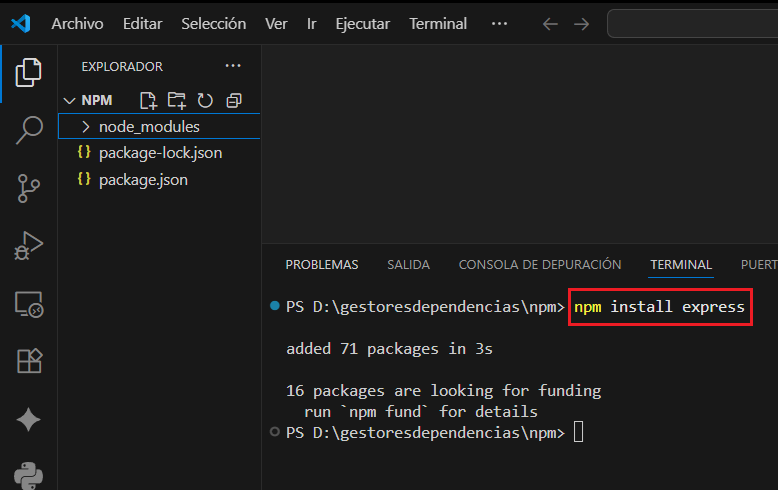 Instalación global de un paquete
