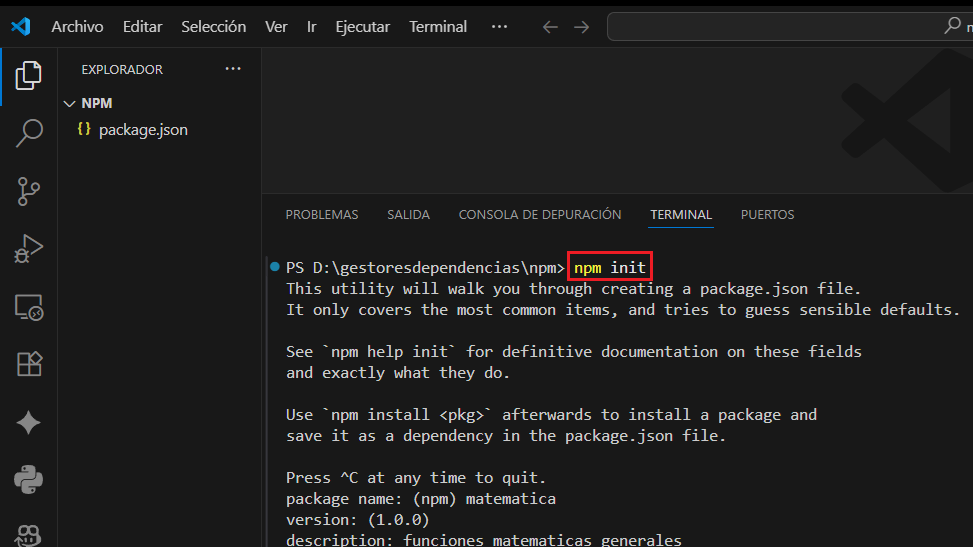 Asistente de npm init