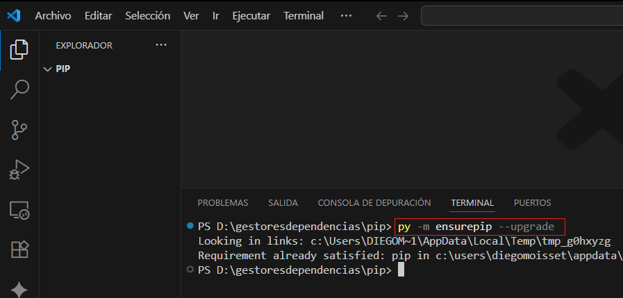 imagen1