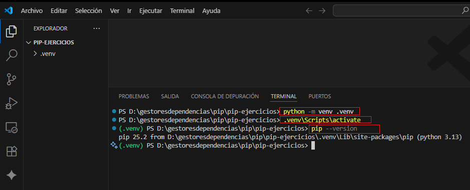 Verificar la versión de pip en el entorno virtual