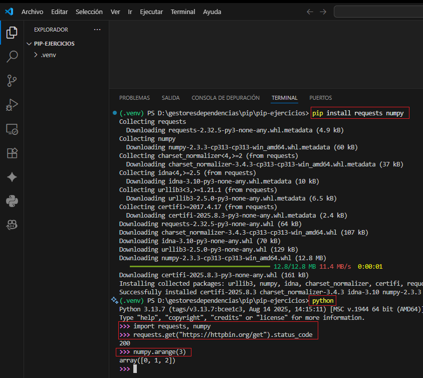 Probar paquetes en el REPL de Python