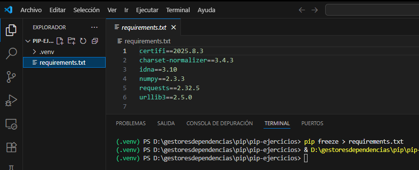 Generar requirements.txt con pip freeze