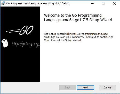 instalación lenguaje Go en Windows