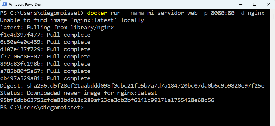 Página de bienvenida de Nginx accediendo desde el navegador