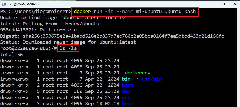 Terminal interactiva dentro de un contenedor Ubuntu