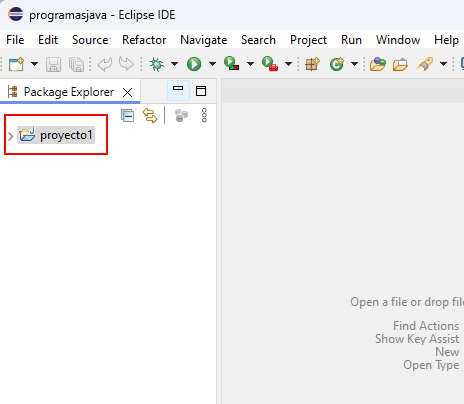 package proyecto java