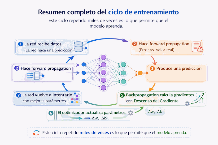 Resumen completo del ciclo de entrenamiento