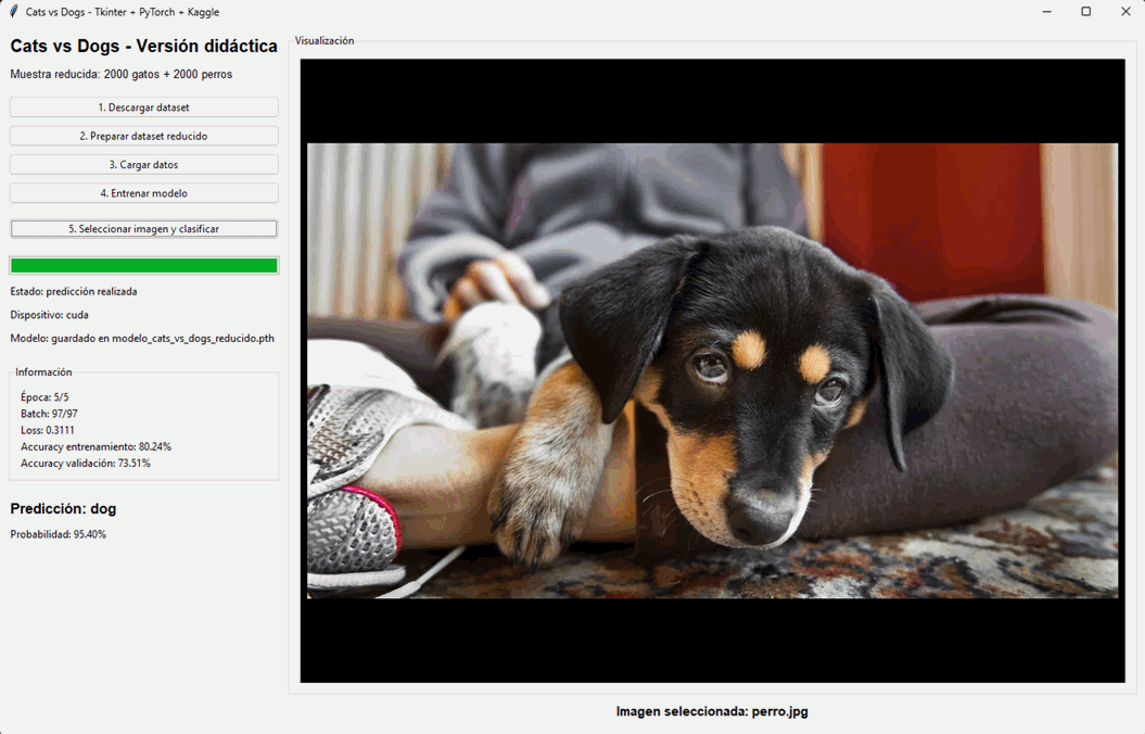 Aplicación Cats vs Dogs con Tkinter, PyTorch y Kaggle
