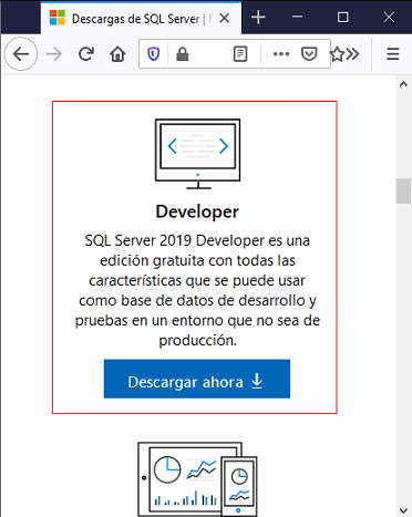 SQL Server Developer Instalación